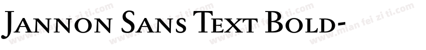 Jannon Sans Text Bold字体转换